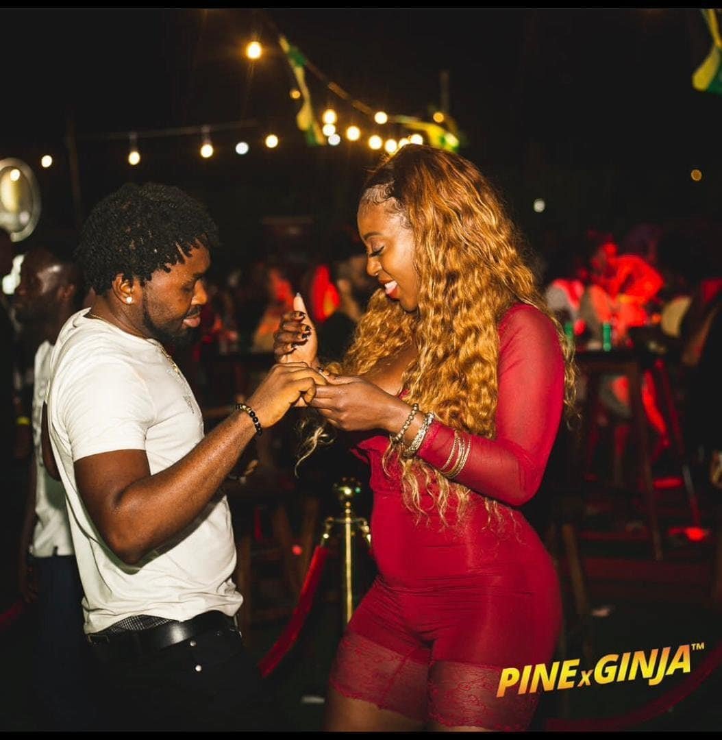 PinexGinja IV