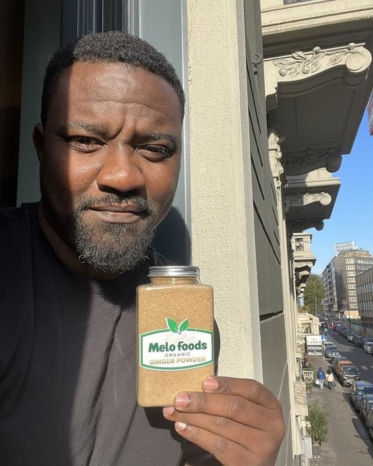 Melo foods organic ginger powder theirson diary
