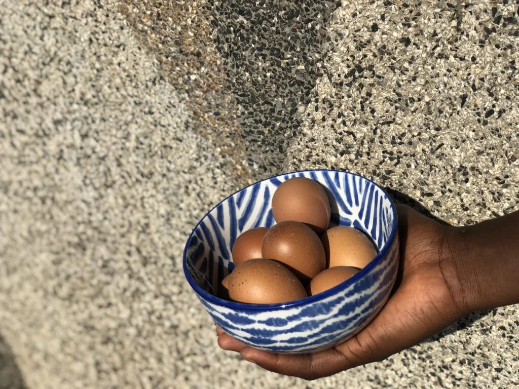 Eggs
