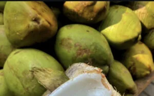 Coconut water 