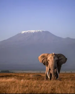 Kenya